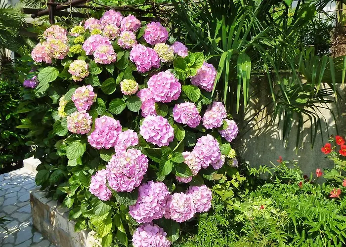 Grozic - A1 Apartment *